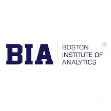 Boston Analytics India Pvt .Ltd.(Mumbai)